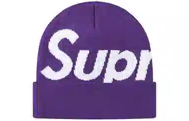 Supreme FW20 Week 7 Big Logo Beanie