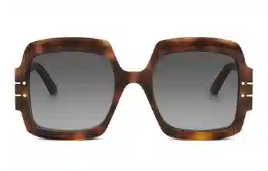 DIOR SIGNATURE S1U