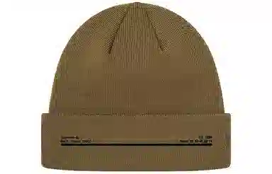 Supreme FW20 Week 5 New Era Shop Beanie