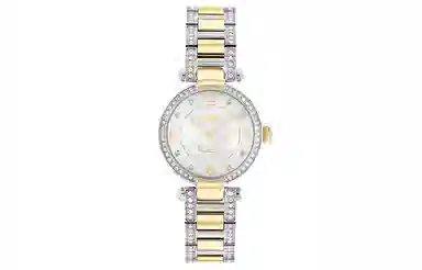 COACHCary 28mm 14503840