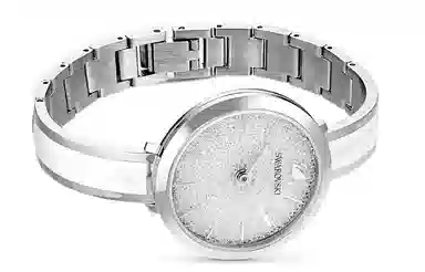 SwarovskiSwarovski 5580537