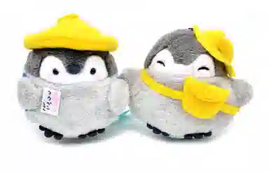 DAP