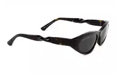 Balenciaga Sunglasses Brown