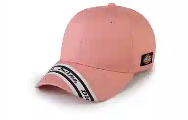 Dickies Baseball Cap Pink
