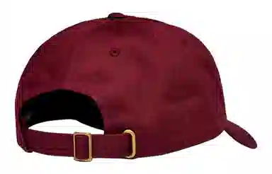 Stussy Stock Low Pro Cap