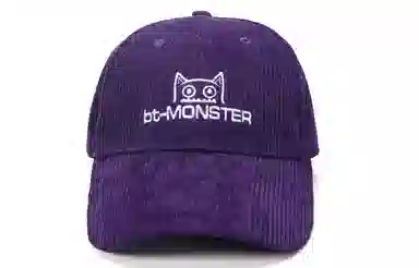 bt Corduroy Cap