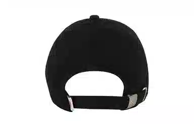 Dickies Logo Baseball Cap Black