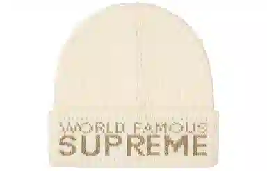 Supreme Supreme FW20 World Famous Beanie