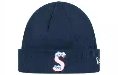 Supreme FW20 Week 3 New Era S Logo Beanie