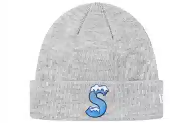 Supreme FW20 Week 3 New Era S Logo Beanie