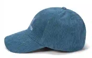 bt Corduroy Cap