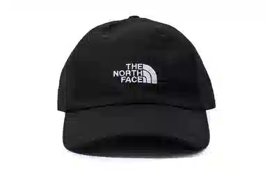 THE NORTH FACE Logo 3SH3