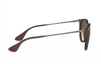 RayBan Erika Tortoise Brown Gradient