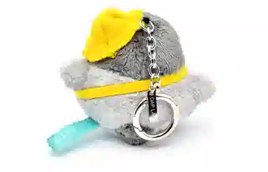 DAP