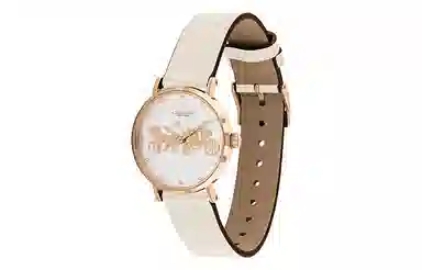 COACHPerry 14503796