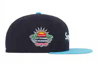 Supreme x New Era 2-Tone Box Logo Cap