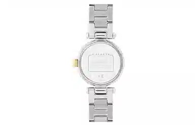 COACHCary 28mm 14503840