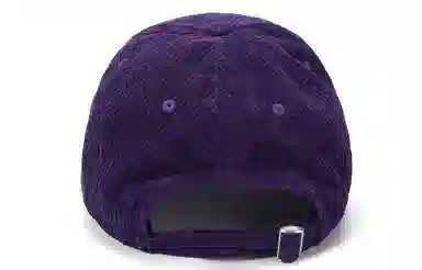 bt Corduroy Cap
