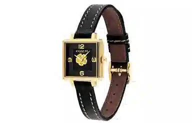 COACH Cass Watch 14503695