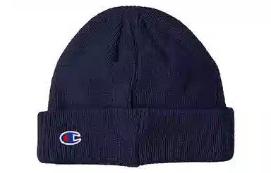 Champion Script Logo Beanie