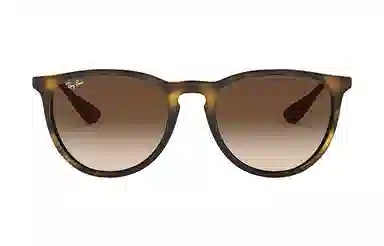RayBan Erika Tortoise Brown Gradient