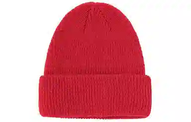 Stussy Basic Cuff Beanie