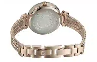 Anne Klein AK-1906LBRG