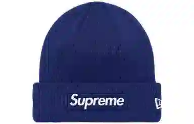 Supreme Week 16 New Era Box Logo Beanie