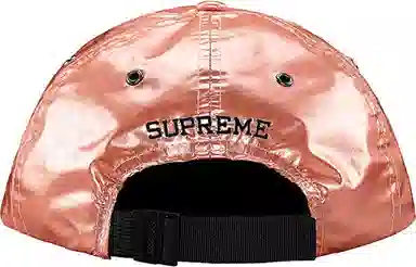 Supreme SS18 The North Face Metallic 6-Panel