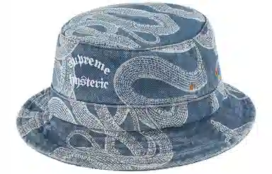 Supreme HYSTERIC GLAMOUR Snake Denim Crusher