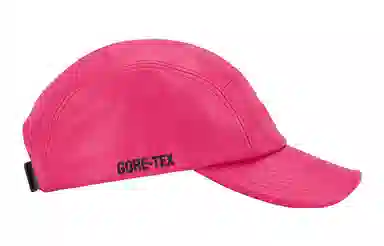 Supreme Week 10 GORE-TEX Leather Camp Cap