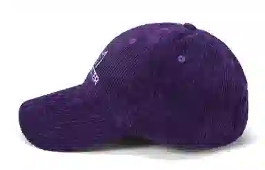 bt Corduroy Cap