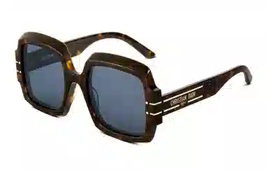 DIOR Logo