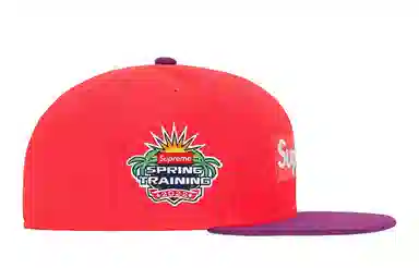 Supreme x New Era 2-Tone Box Logo Cap