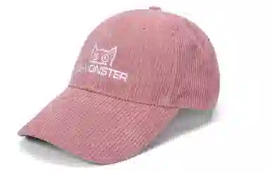 bt Corduroy Cap