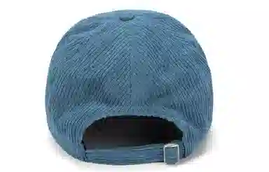 bt Corduroy Cap