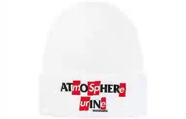 Supreme Supreme FW20 Week 14 SupremeANTIHERO Beanie