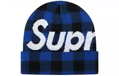 Supreme FW20 Week 7 Big Logo Beanie