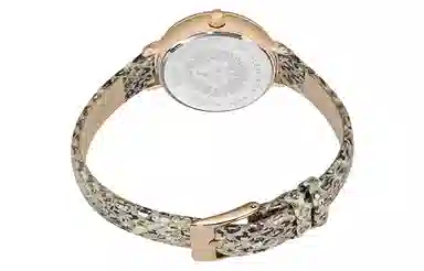 ANNE KLEIN AK-3508CHGD