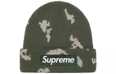 Supreme Week 16 New Era Box Logo Beanie