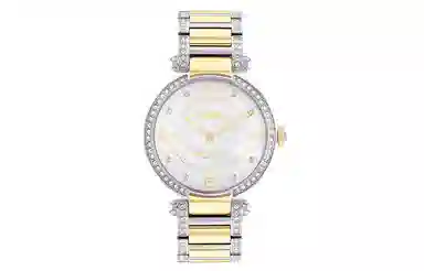 COACHCARY 34mm 30 14503833