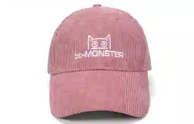 bt Corduroy Cap