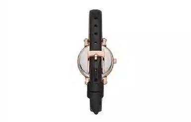 MICHAEL KORS Sofie 26mm MK2849-1