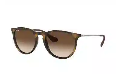 RayBan Erika Tortoise Brown Gradient