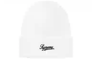 Supreme Supreme FW20 Week 14 SupremeANTIHERO Beanie