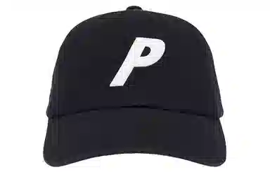 PALACE P 6-PANEL Logo