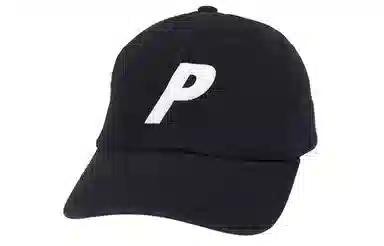 PALACE P 6-PANEL Logo