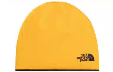 THE NORTH FACE logo