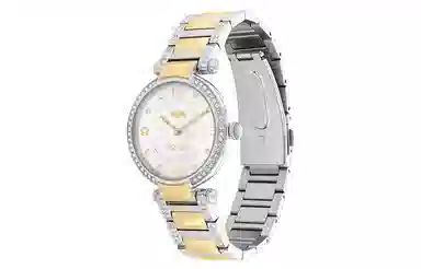 COACHCARY 34mm 30 14503833