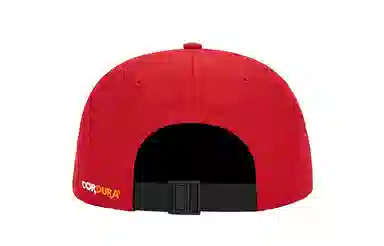Supreme FW20 Week 17 Cordura Small Box 6-Panel